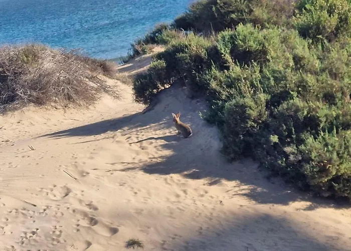 Pepehills Σπίτι διακοπών Gran Alacant